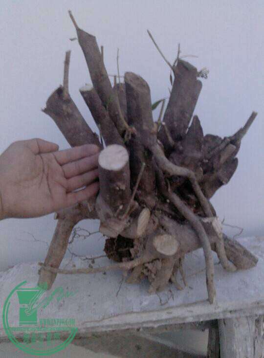 QQͼƬ20141029181144.jpg