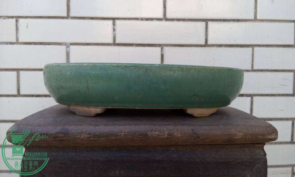 P41029-161925_С.jpg