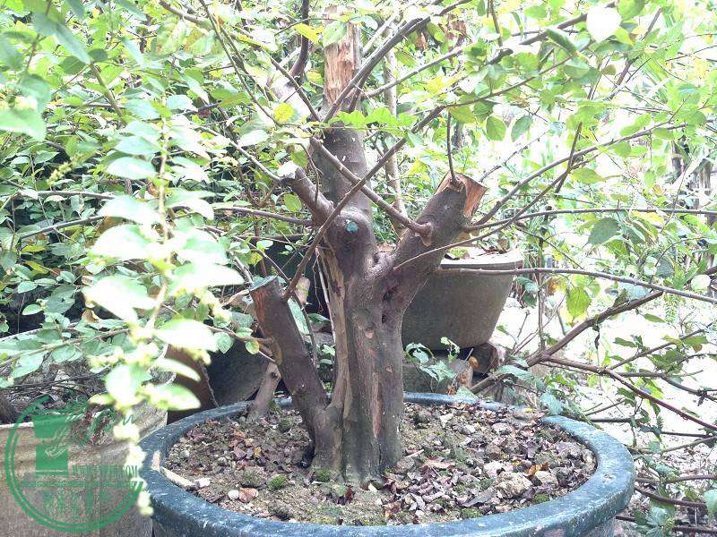 2014-10-29_10-36-38_918_www.moumu.com.jpg