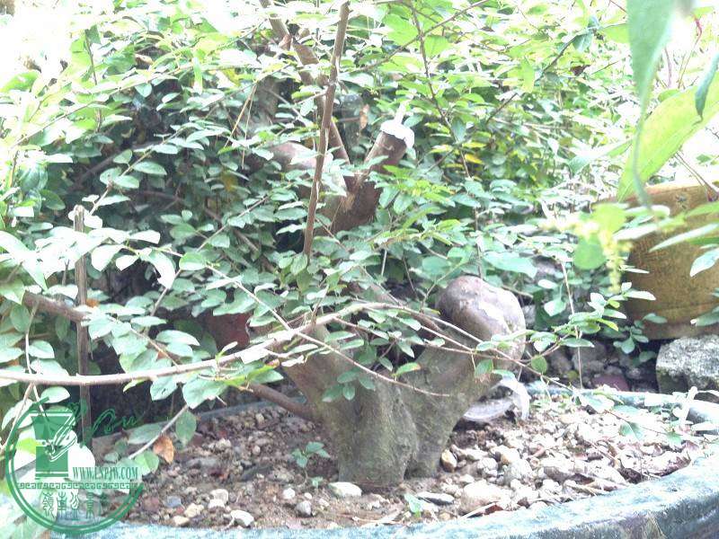 2014-10-29_10-37-23_614_www.moumu.com.jpg