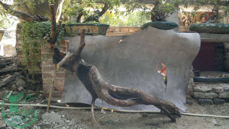 20141027678__.jpg