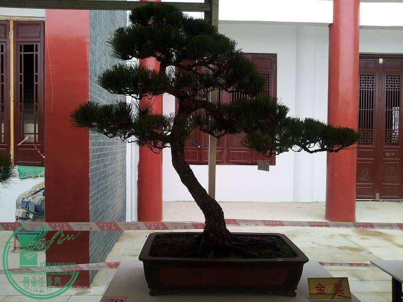 20141029_08442804.JPG