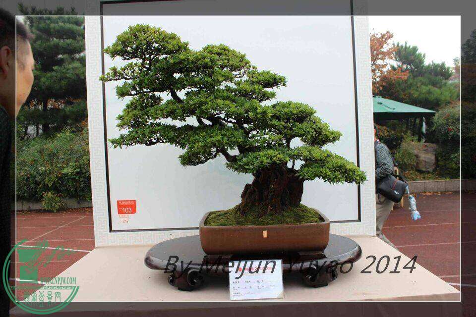 QQͼƬ20141031214904.jpg