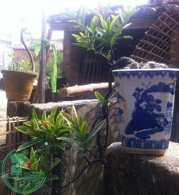 QQͼƬ20141101133932.jpg