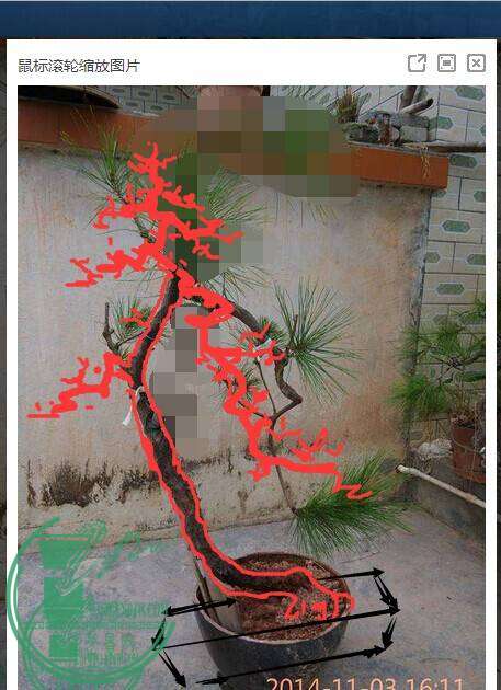 QQͼƬ20141104232329.jpg