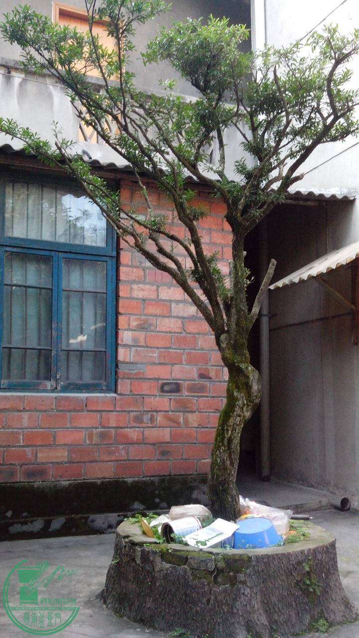 IMG_20141103_143018.jpg