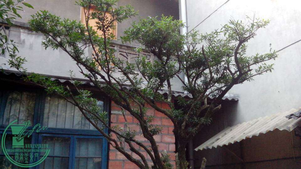 IMG_20141103_143202.jpg
