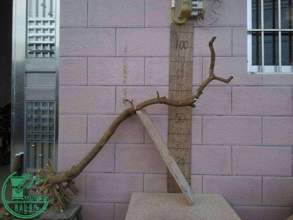 1002.jpg