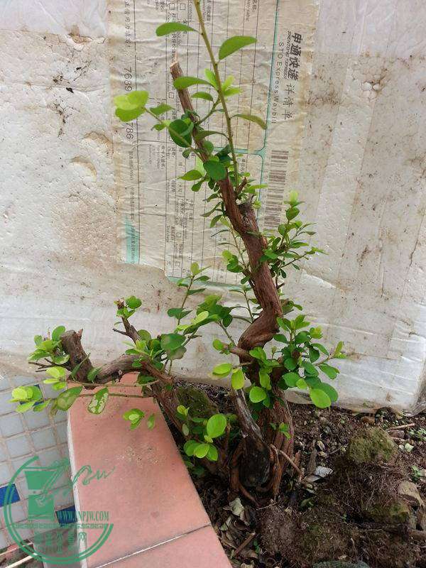 20141109_101603.jpg