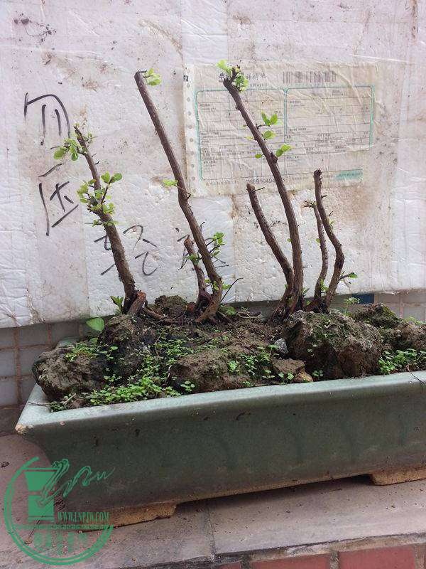 20141109_101729.jpg