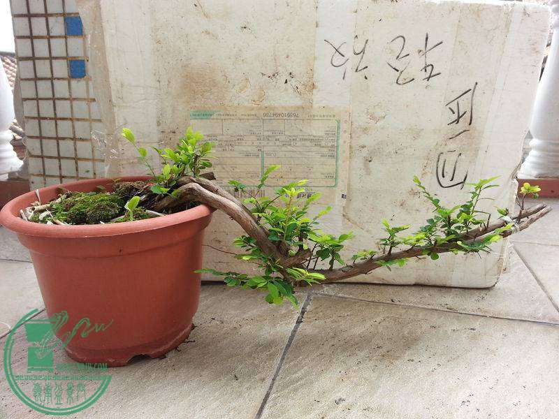 20141109_101927.jpg