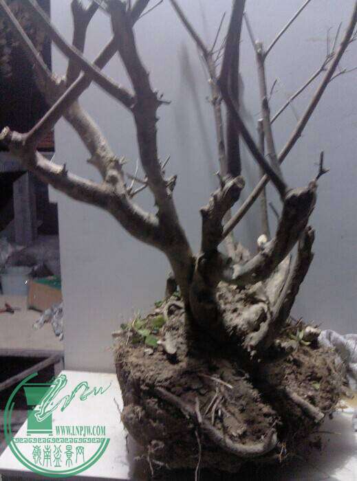 QQͼƬ20141110220718.jpg