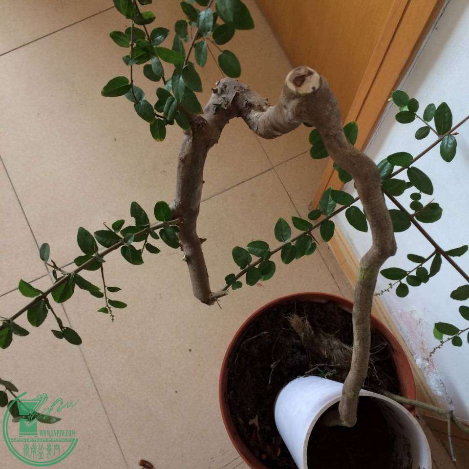 QQͼƬ20141116213631.jpg