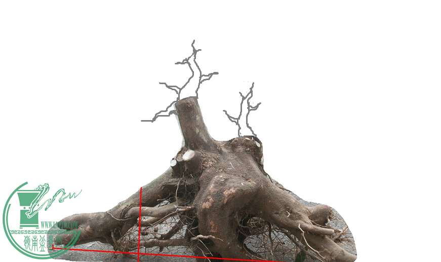 ޱ.png