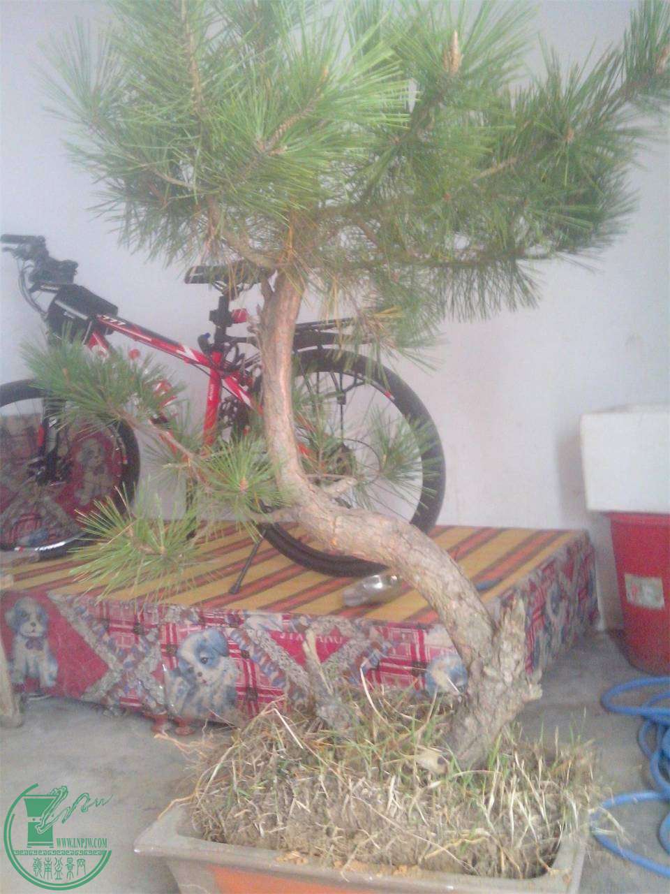 IMG20141119004.jpg