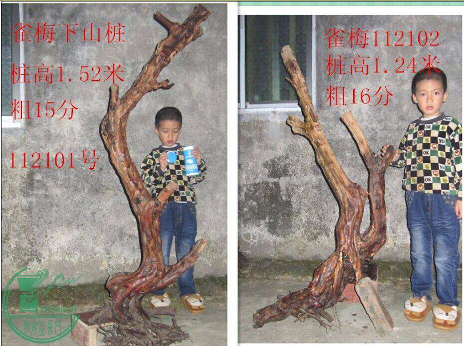 QQͼƬ20141121204016.jpg
