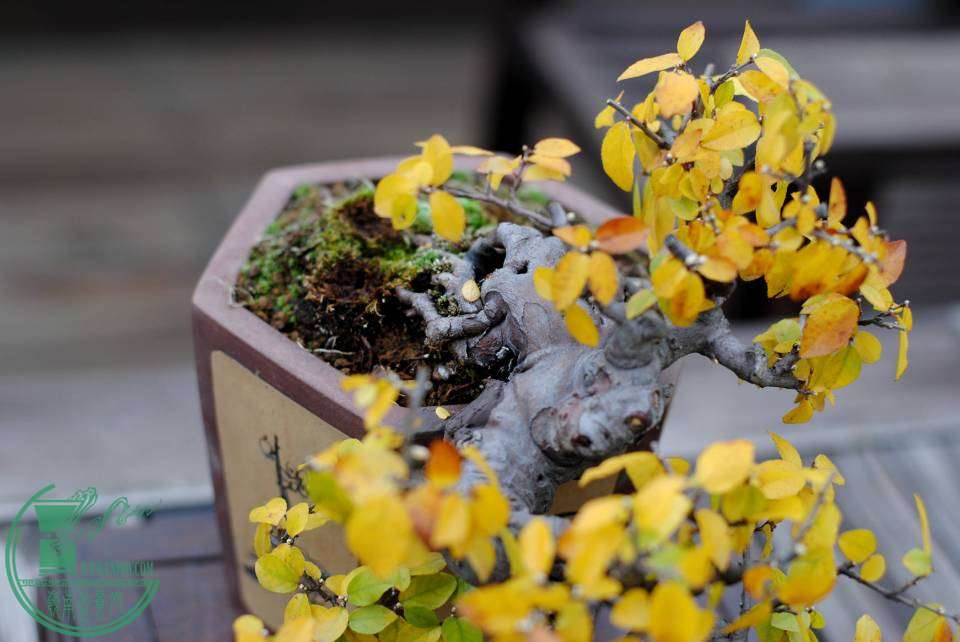 DSC_2835.JPG