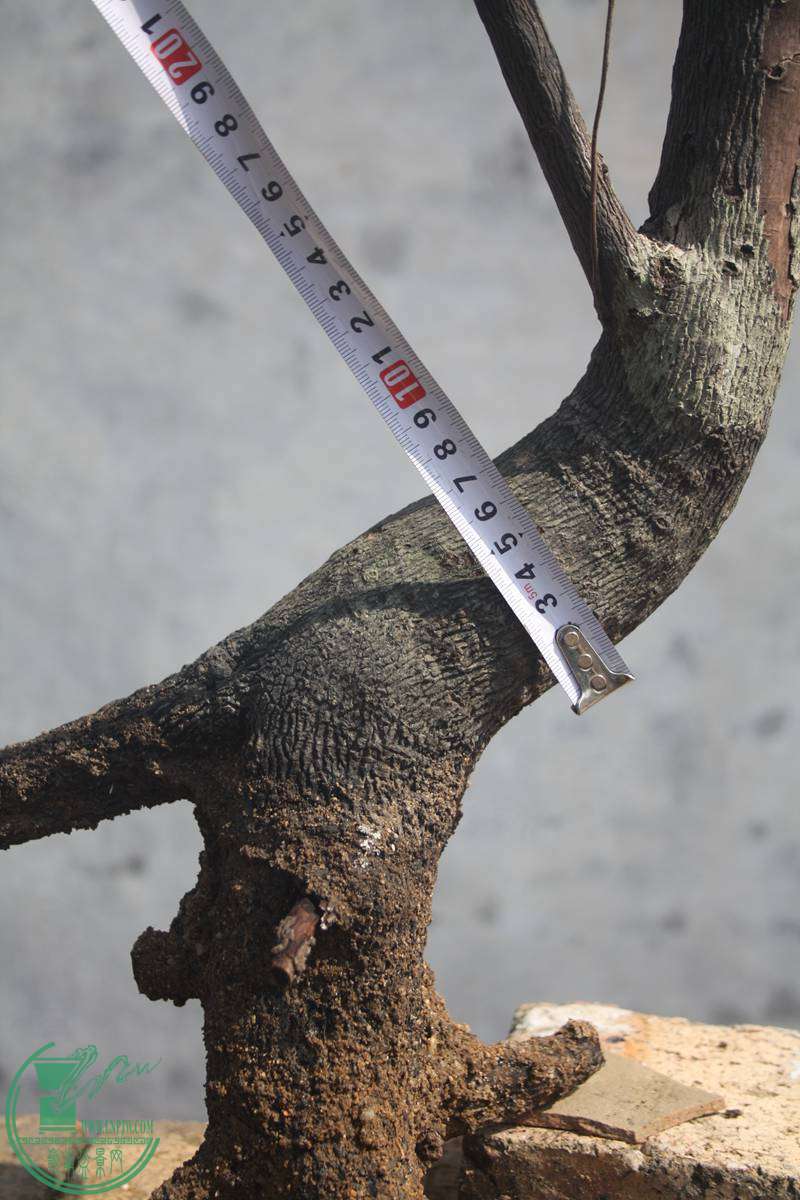 Ƭ20131026ۺ 2248.jpg