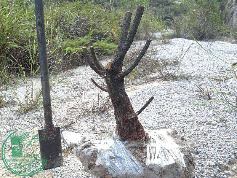 2014-11-23_16-06-45_333_www.moumu.com.jpg