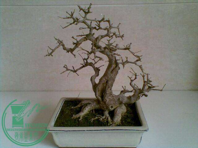 20131018.jpg