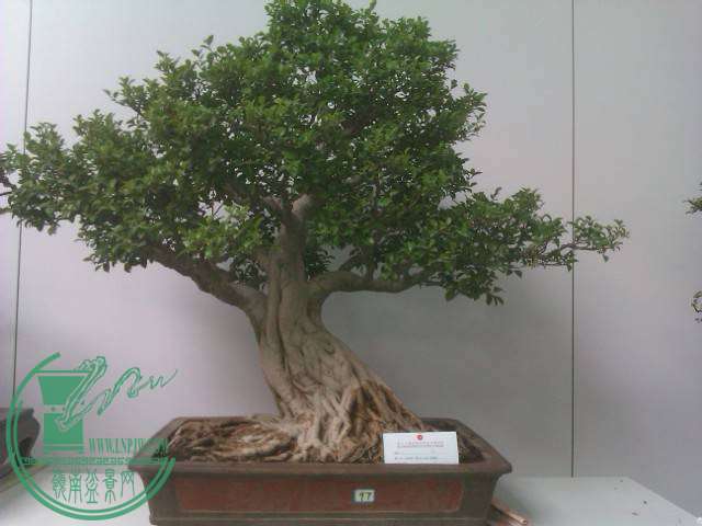 IMAG0199.jpg