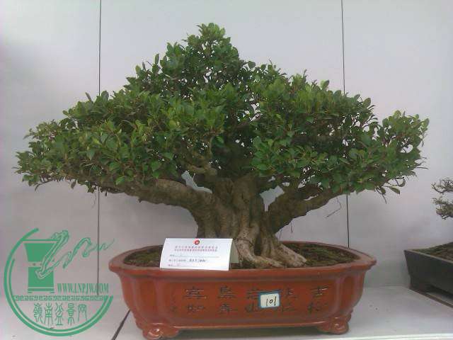 IMAG0258.jpg