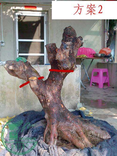 IMG20141123002__.jpg