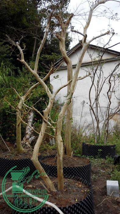 IMG_20141112_142213.jpg