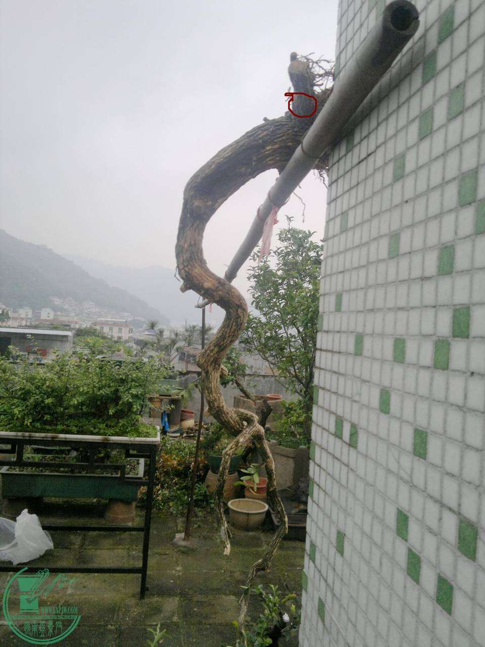201404231938.jpg