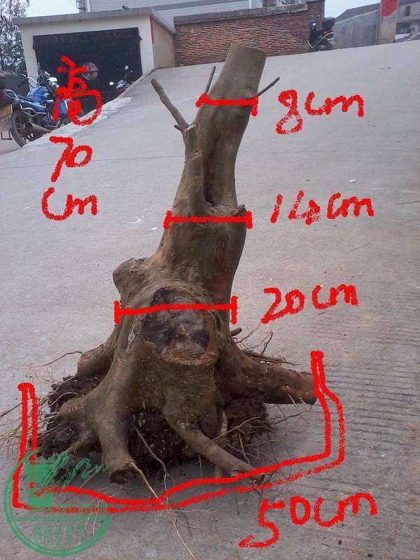 6.JPG