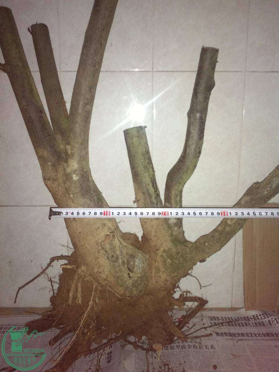 1.JPG