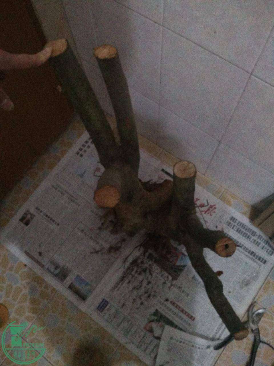 7.JPG