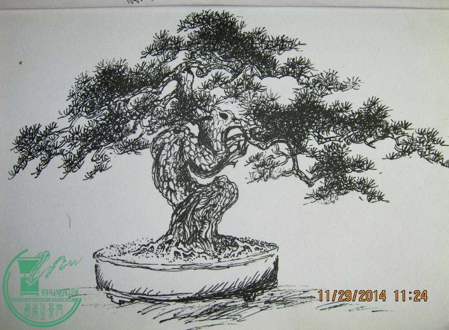 QQͼƬ20141129131809.jpg