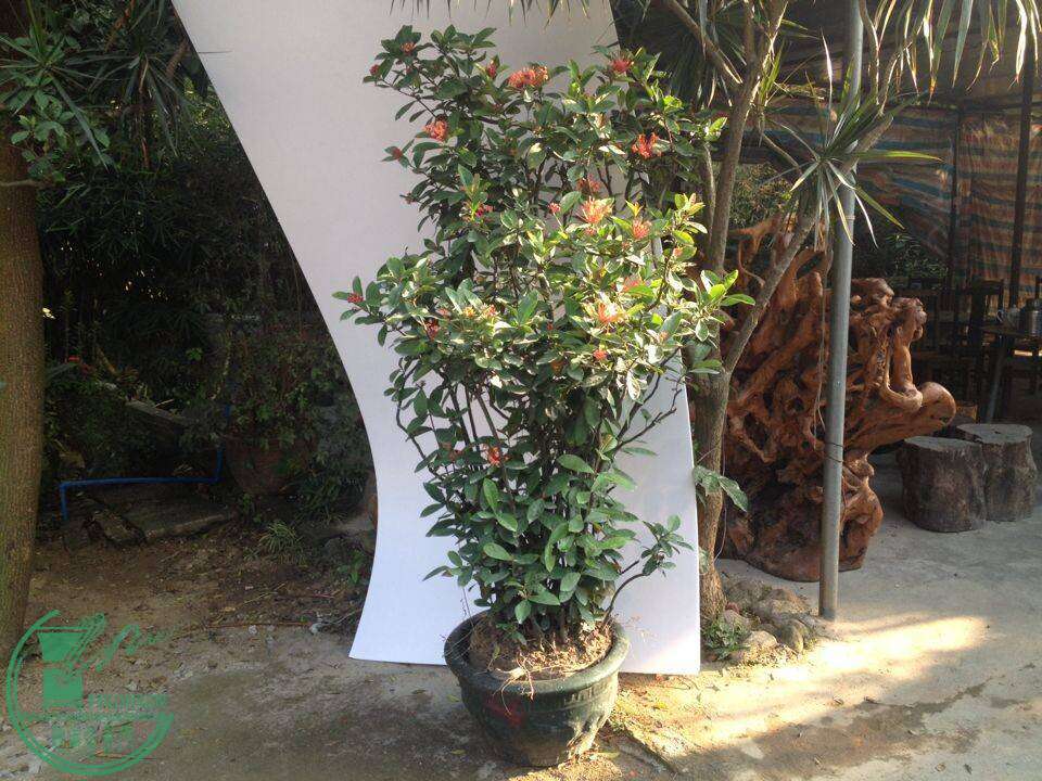 QQͼƬ20141130144804.jpg