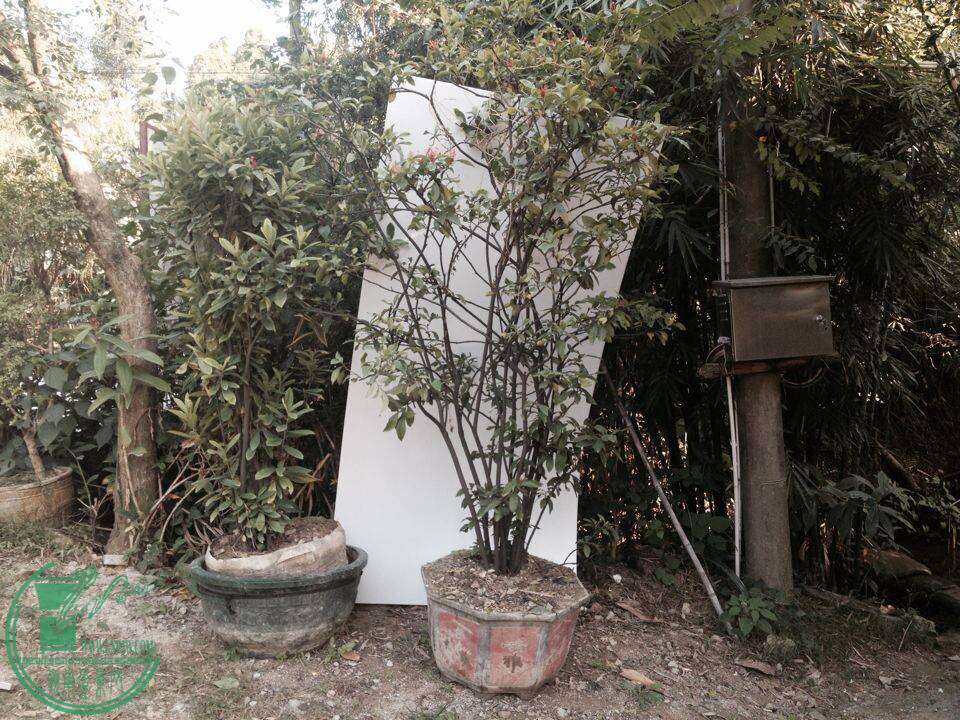 QQͼƬ20141130144830.jpg