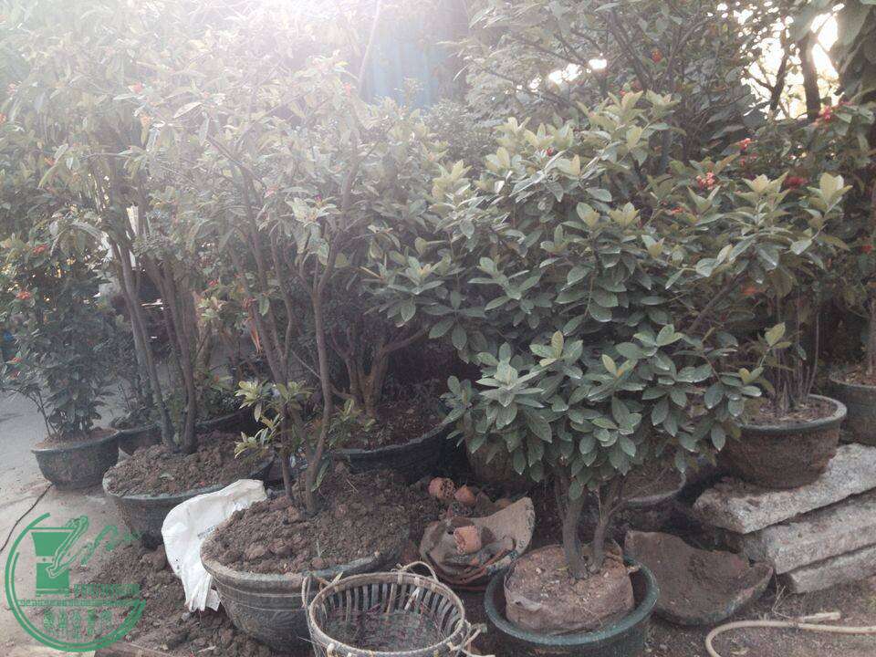 QQͼƬ20141130144841.jpg
