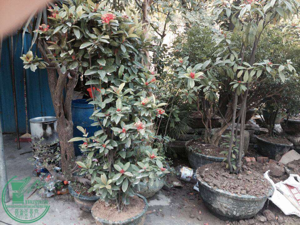 QQͼƬ20141130144846.jpg