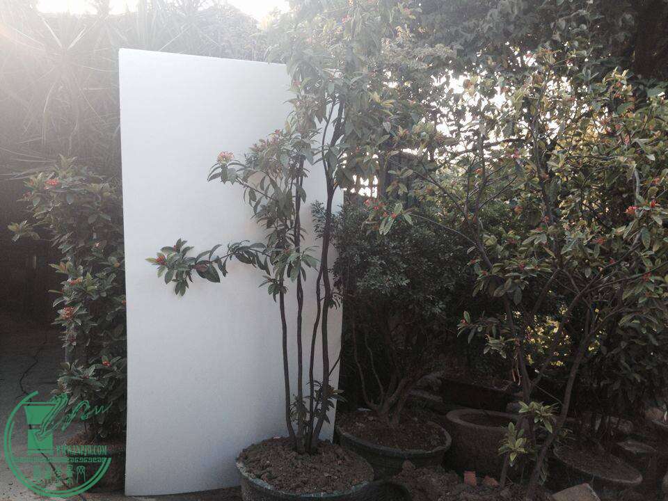 QQͼƬ20141130144854.jpg