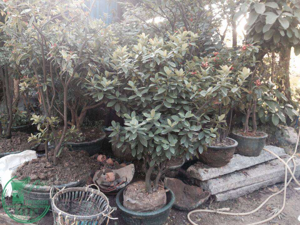 QQͼƬ20141130144856.jpg