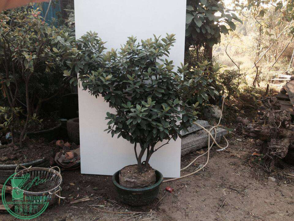 QQͼƬ20141130144901.jpg