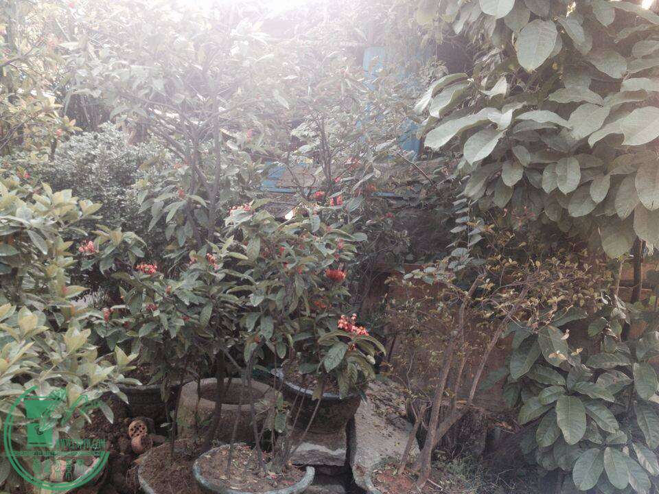 QQͼƬ20141130144905.jpg