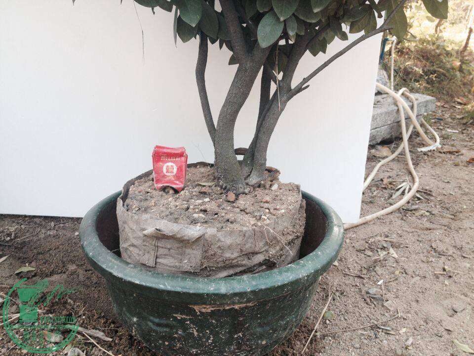 QQͼƬ20141130144908.jpg