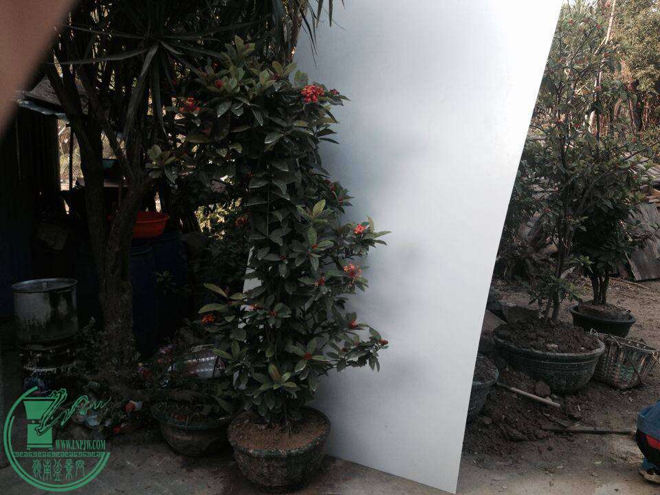 QQͼƬ20141130144912.jpg