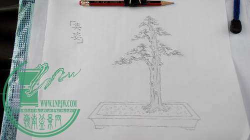 IMG_20141201_092834_СС.jpg