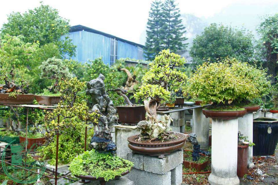 _MG_7737.jpg