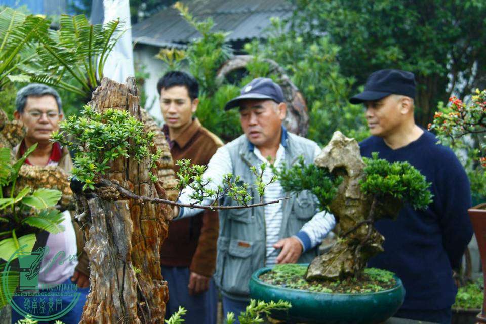 _MG_7805.jpg