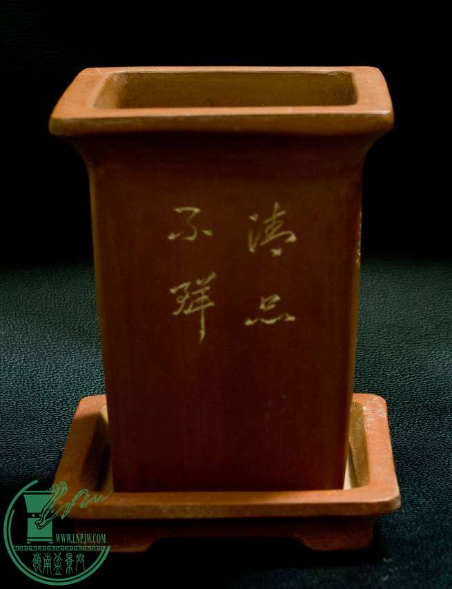 δ-5302.jpg