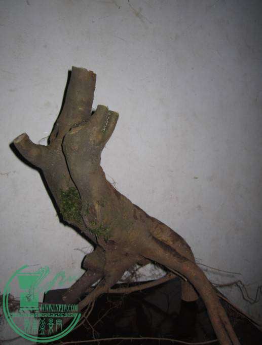QQͼƬ20141203174226.jpg