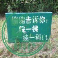u=3255494139,279212665&amp;fm=23&amp;gp=0.jpg