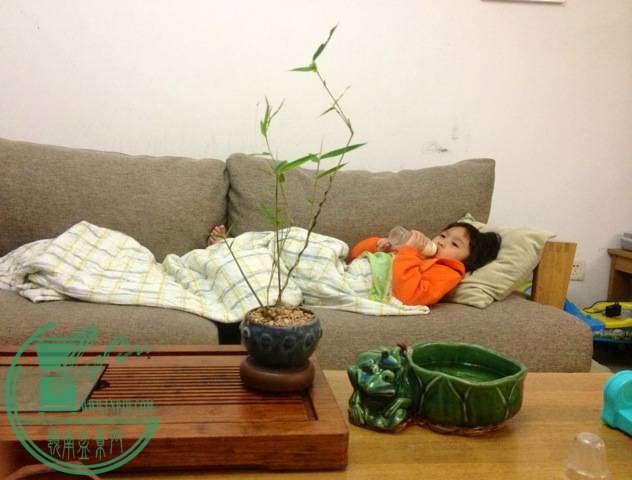 zzzzzzzzzzzzzzzzzzzzzzz 005.jpg